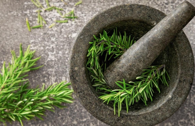 5 Beauty Benefits Of Rosemary For Thick, Long And Strong Hair